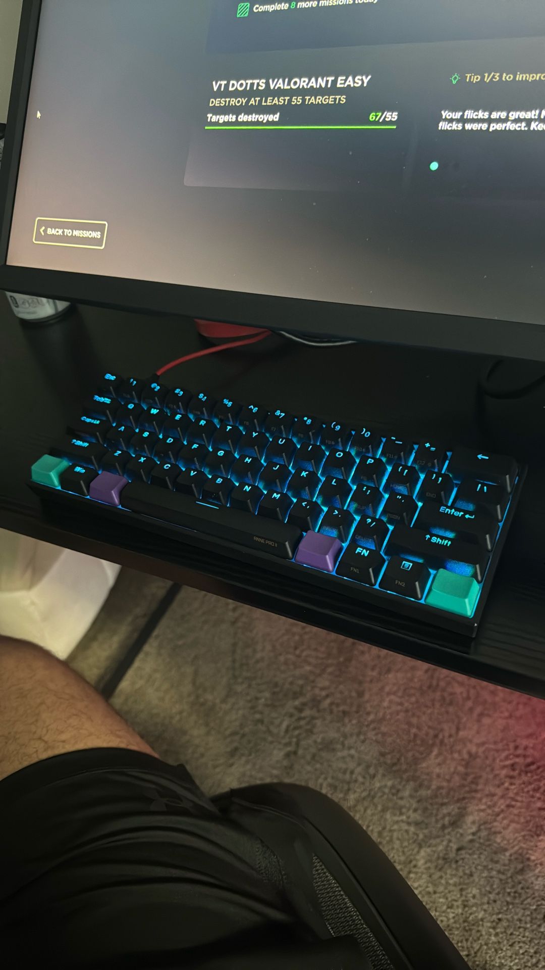Ducky Anne Pro 2