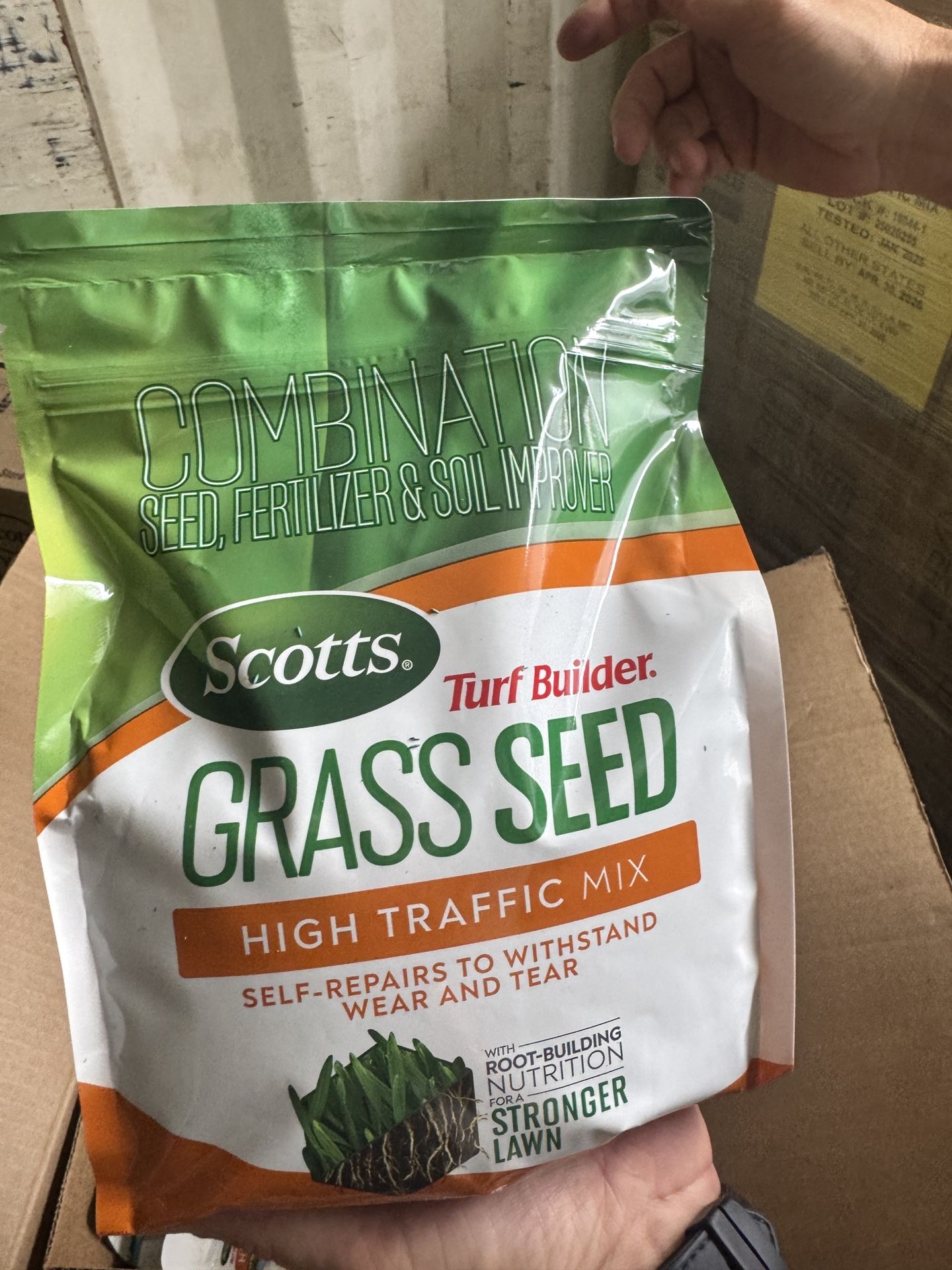 Grass Seed Scotts