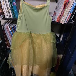 The Frog And The Princess Disney Dress
