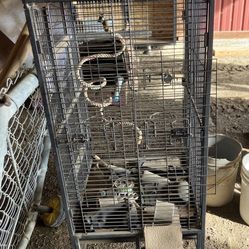 Bird Cage 