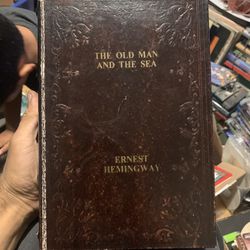 Hollow Book
