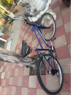 bike
