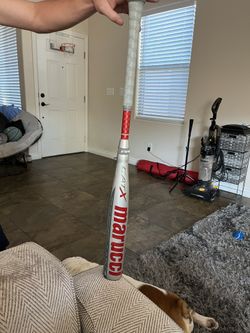 Cat X Marucci 33/30 