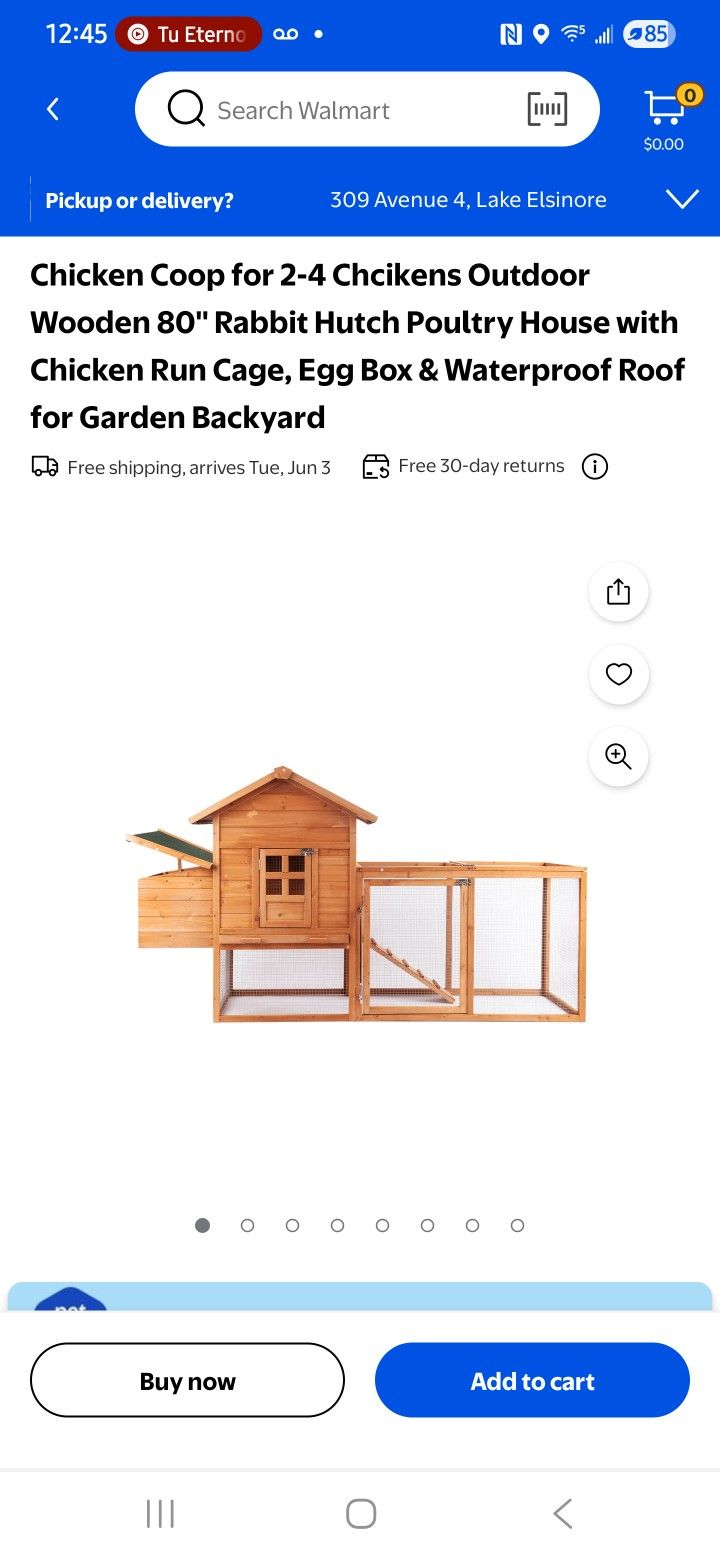 Chicken Coop