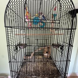 Bird Cage including bird
