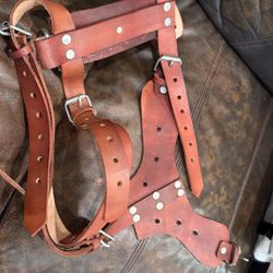 Large Dog Harness