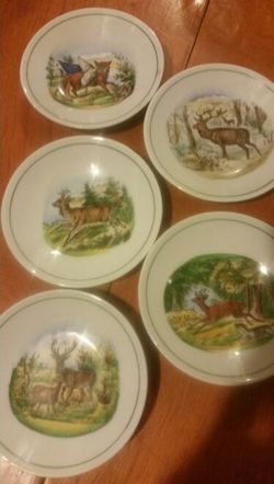 Collectors plates