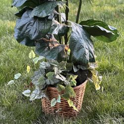 Tall Fake Tree Plant