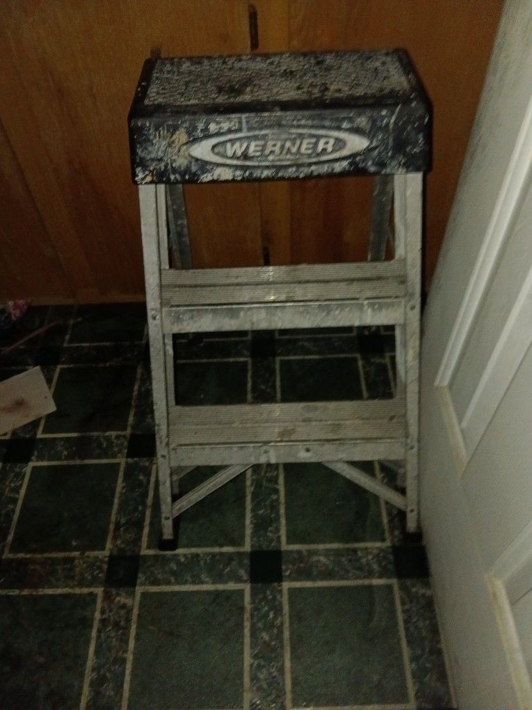 2 Foot Ladder