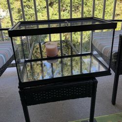 terrarium for lizard