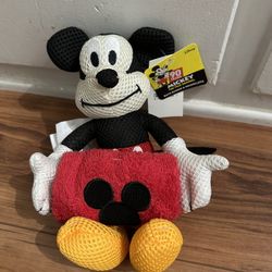 Mickey Bathing Buddy And Wash Towel