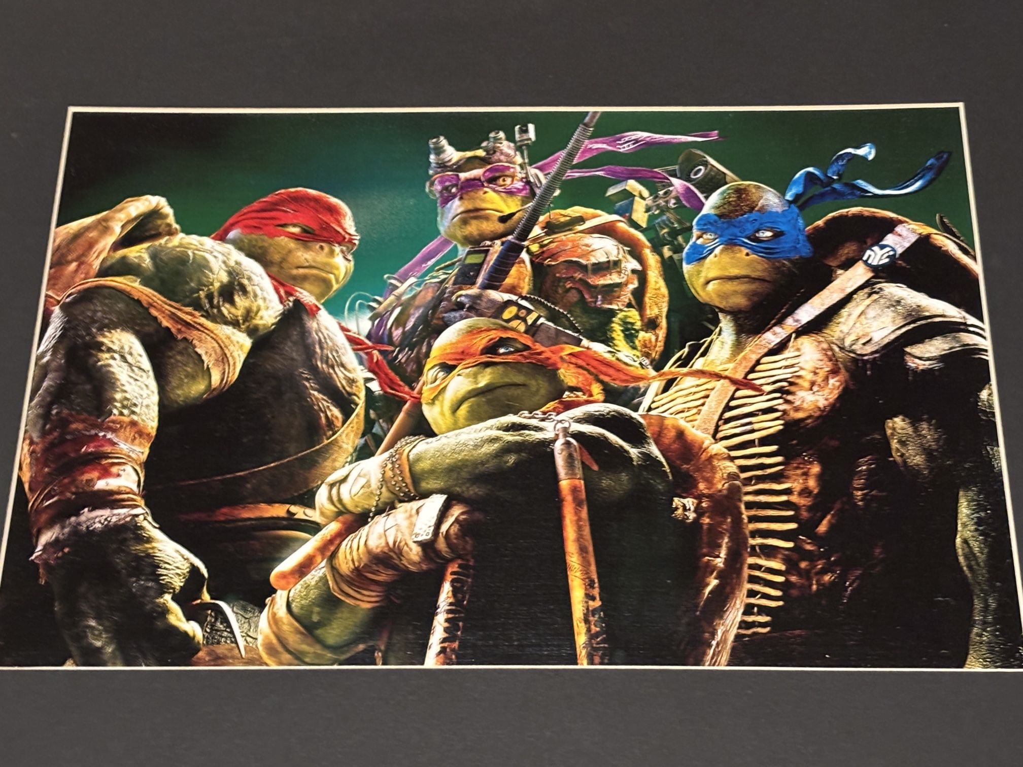 Teenage Mutant Ninja Turtles Art Print