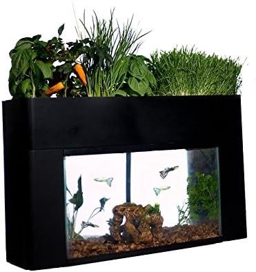 AquaSprouts Garden, Self-Sustaining Desktop Aquarium Aquaponics Ecosystem Kit, fits Standard 10 Gallon Aquariums