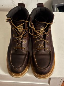 Red wings Irish settler