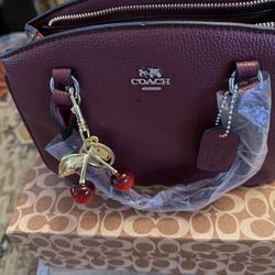 Bolsas Para Dama Coach 