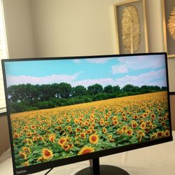Lenovo ThinkVision P27H-10 27” Screen