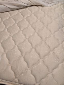 Twin Mattresses and Box Spring