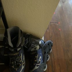 Roller Skates