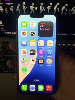 iPhone 13 Pro Max