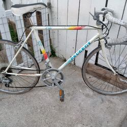 PEUGEOT C46 10 SPEED  USED $40