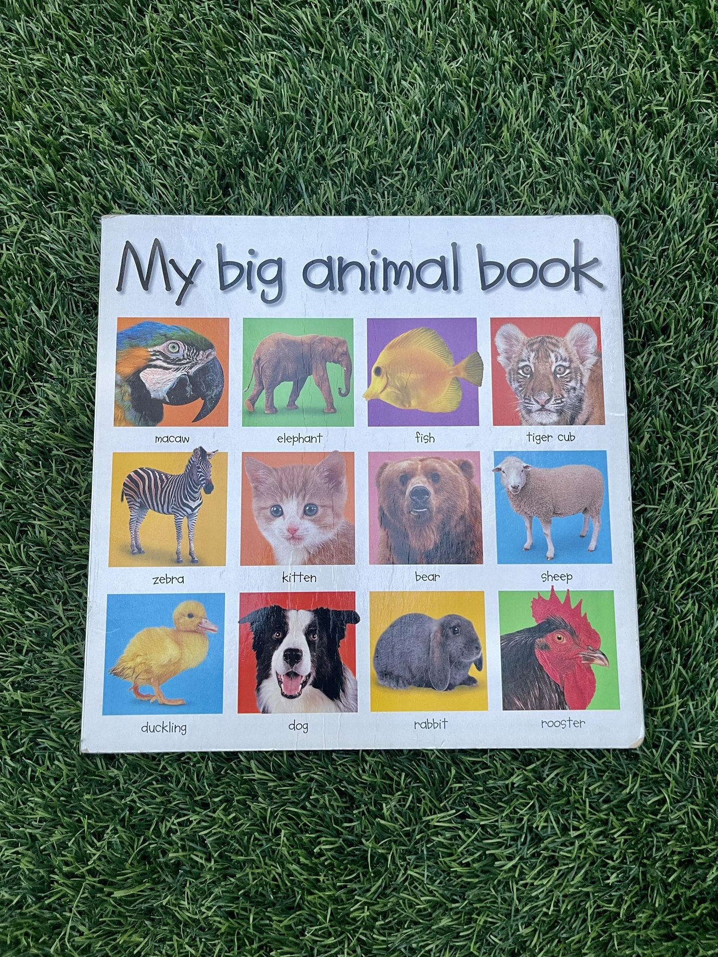 My Big Animal Book Hardback For Kids