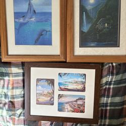 Hawaiian Wall Plate Collection 