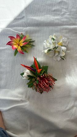 Hawaiian Hair Clips - $60 for all 3
