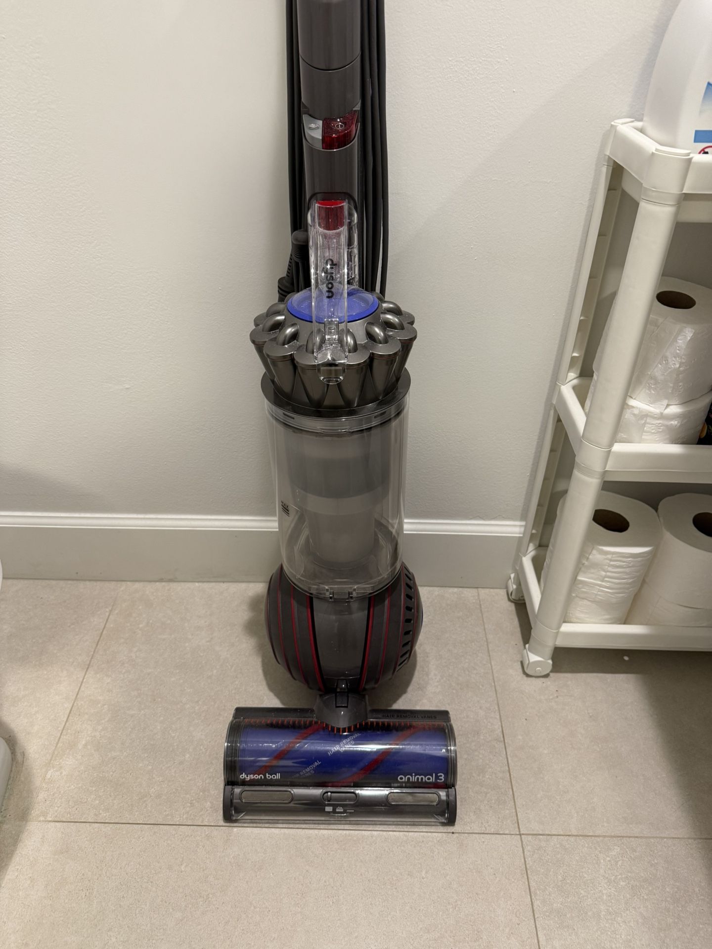 Dyson Vaccuum Corded Animal 3