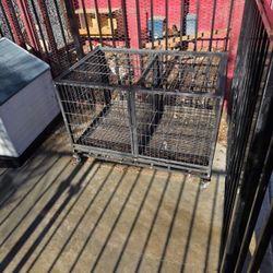Dog Kennel 