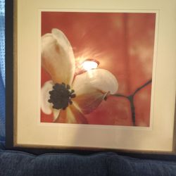 A BEAUTIFUL PIECE OF ART FLOWER PICTURE 