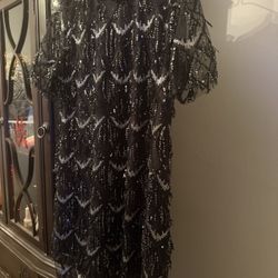 1920’s Flapper Great Gatsby  Era Dress And Accessories 