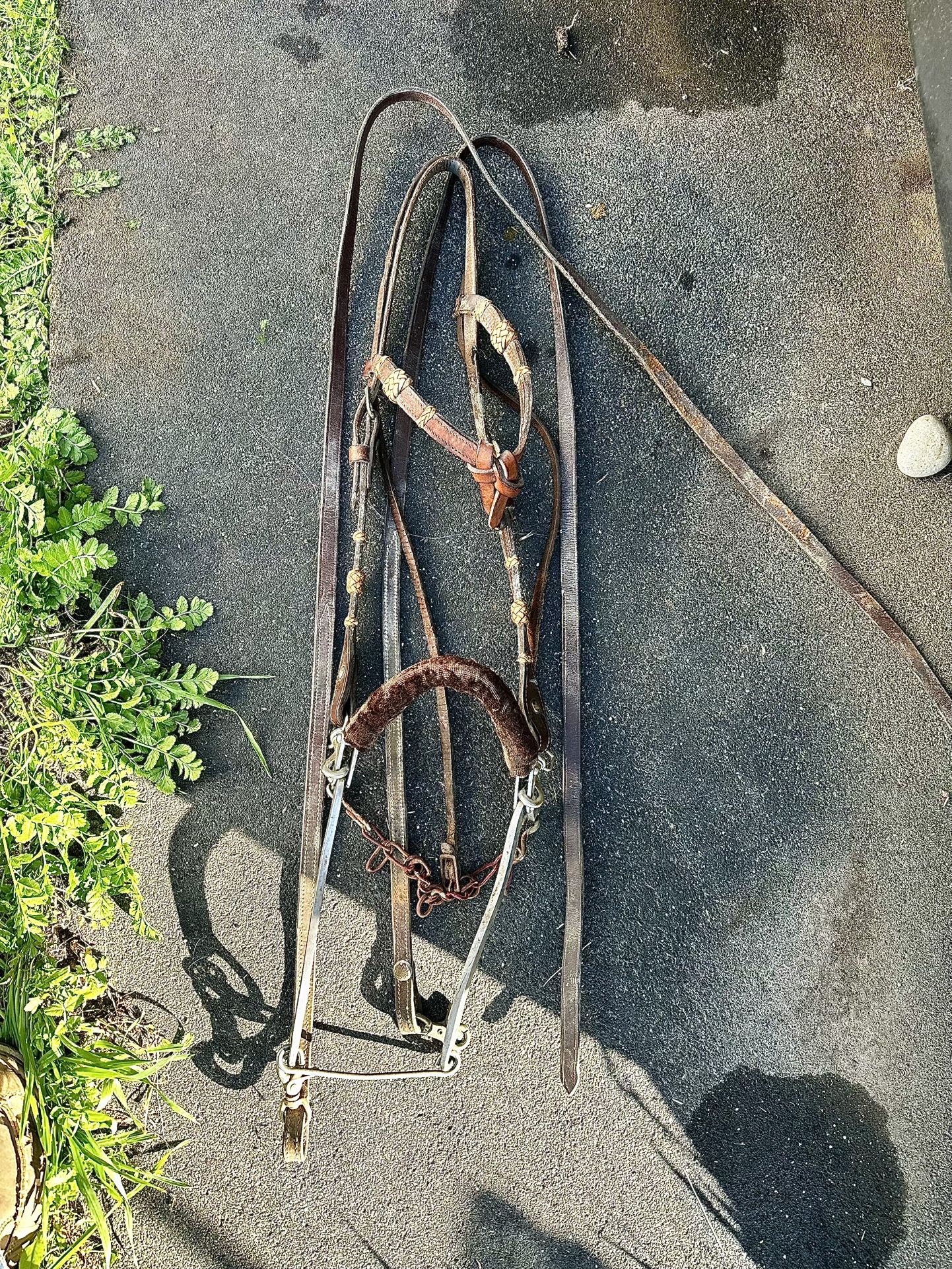 horse hackamore 