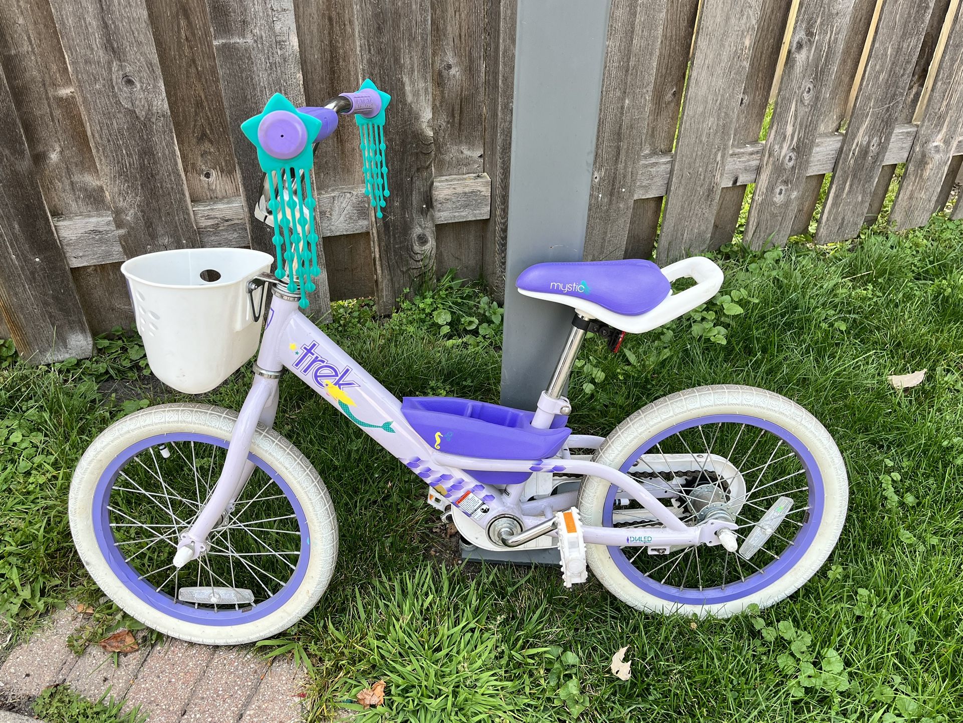 Mystic trek bike 16 2025
