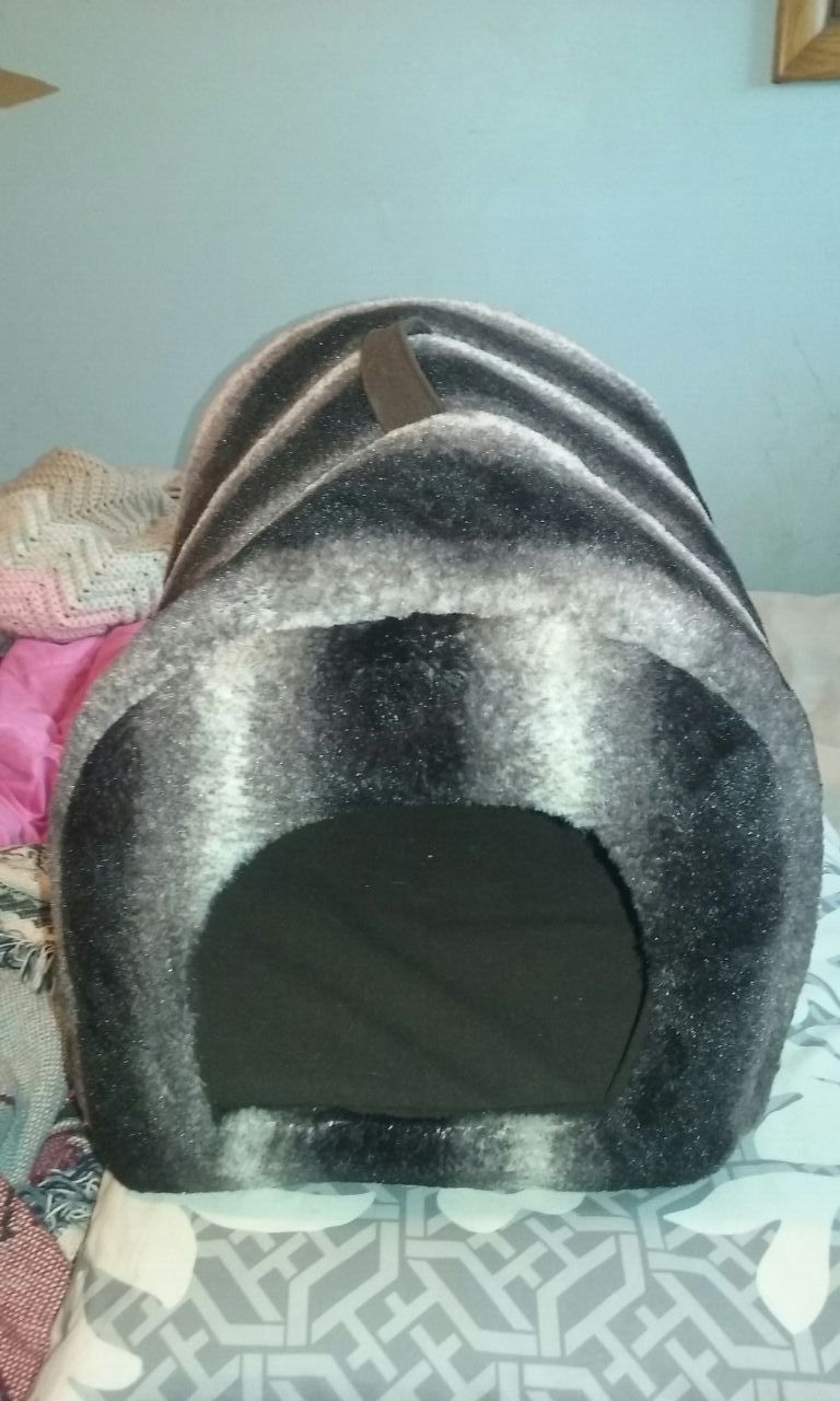 Cat bed