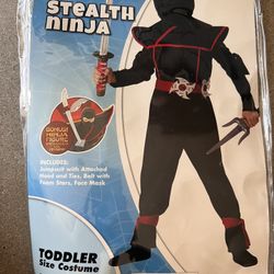 Stealth Ninja