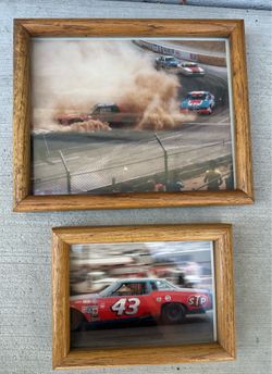 NASCAR Racing #42 R Petty pictures