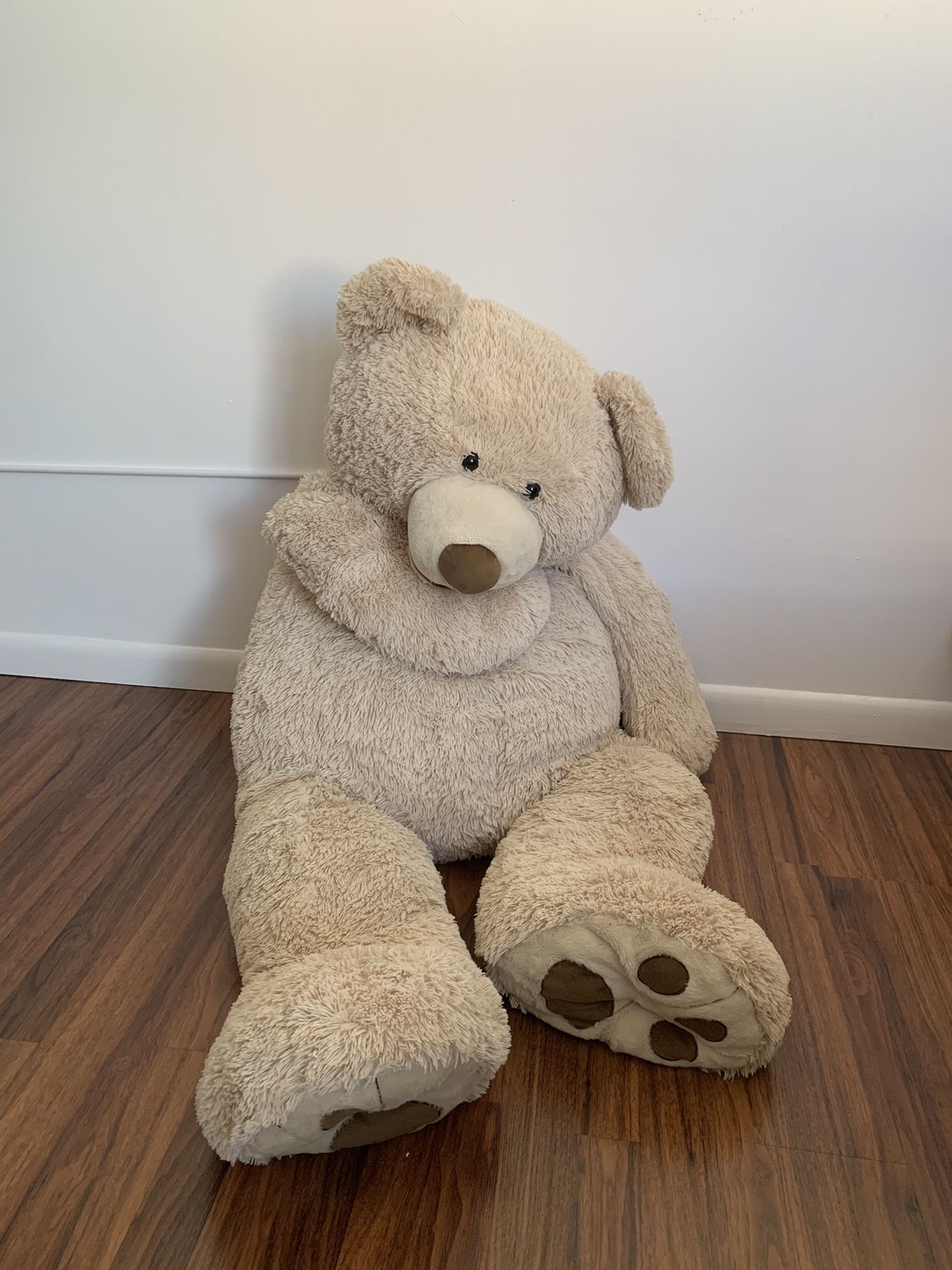 FREE Large Teddy Bear