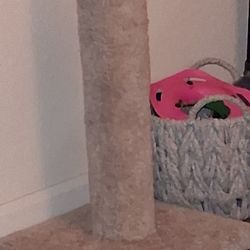 Cat Scratcher