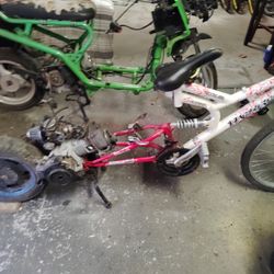 3 Total Mopeds