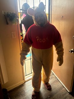Winnie the Pooh costume