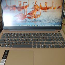 Lenovo idea pad  11 Gen brand new 