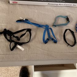 Puppy Collars And Harness Mini Small