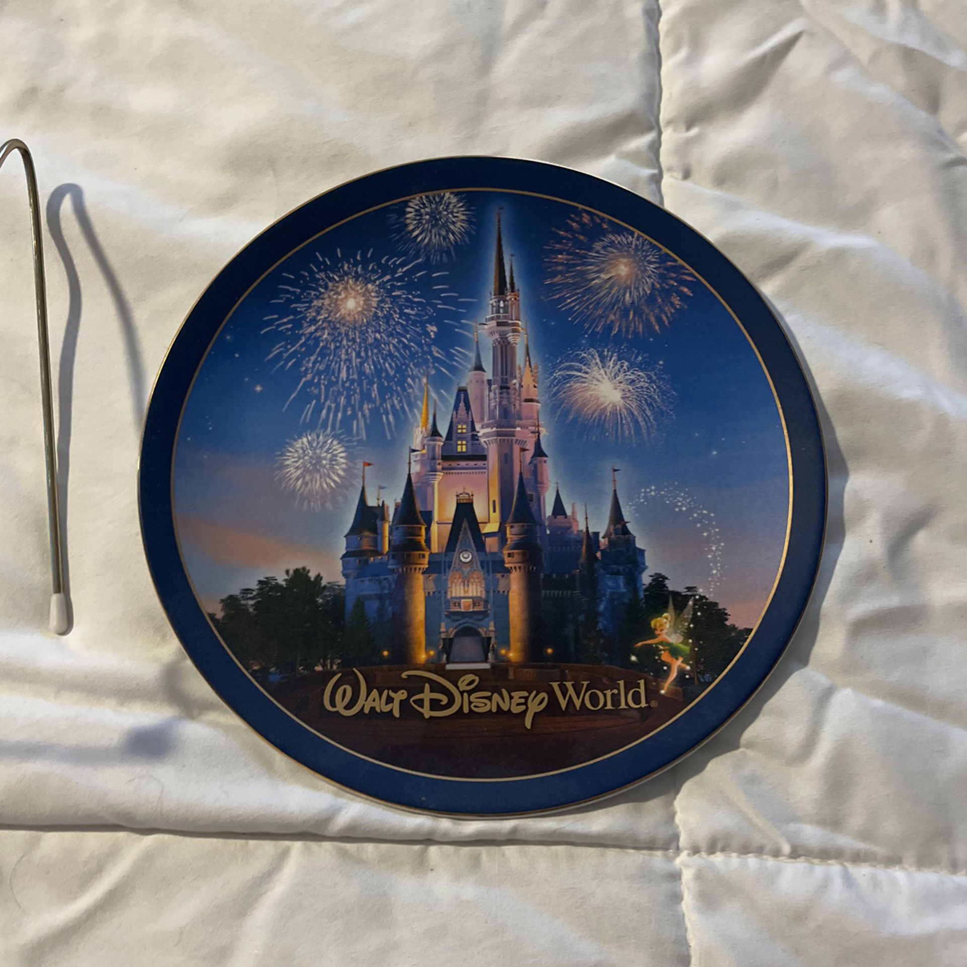 Disney world Plate