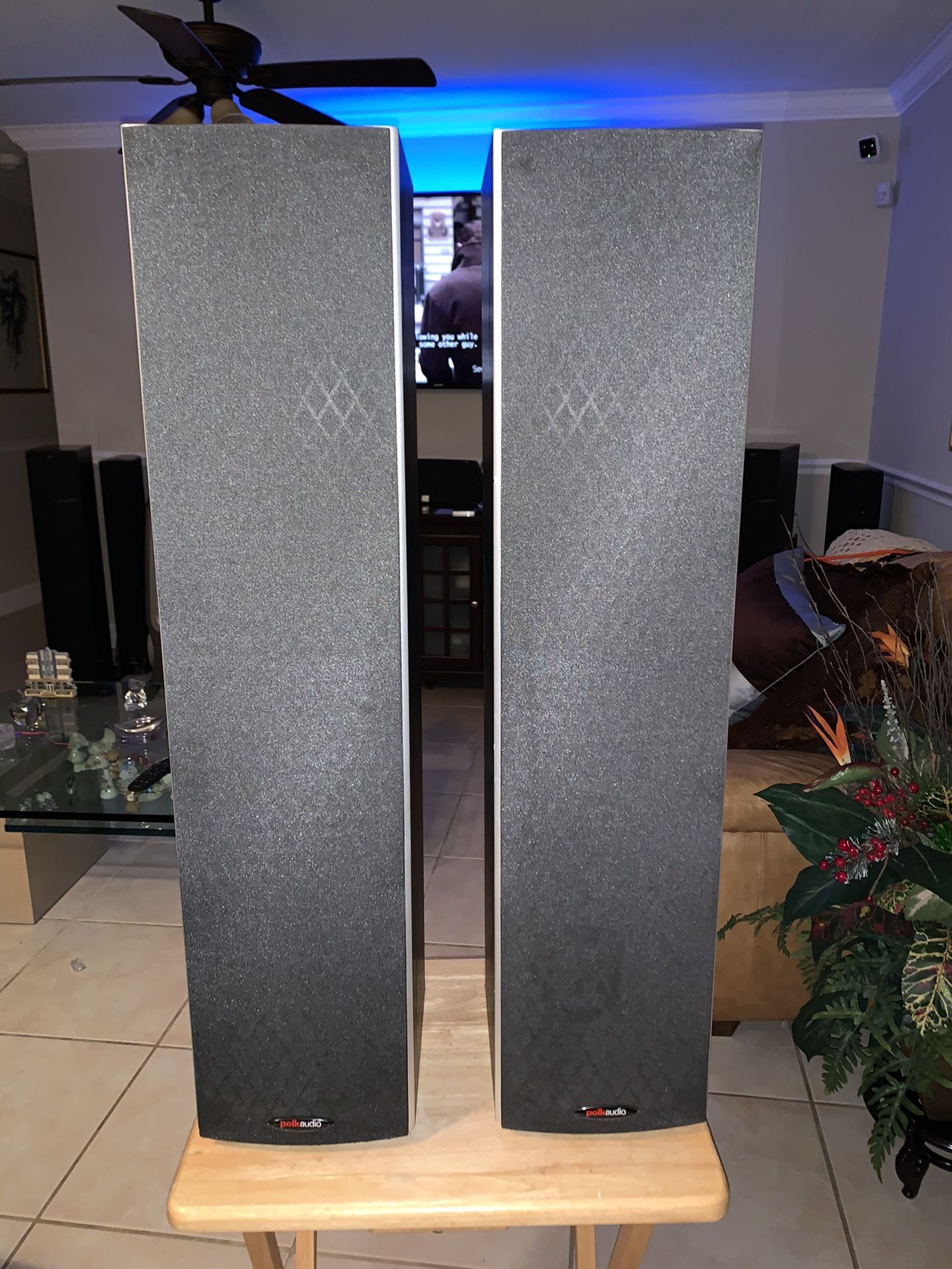 Polk Audio m20 Tower Speaker’s