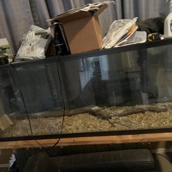 6 Ft Fish Tank