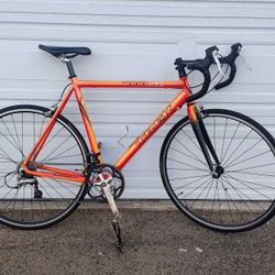 Trek 1000SL Bicycle Size 56cm