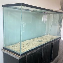 180 Gallon Fish Tank