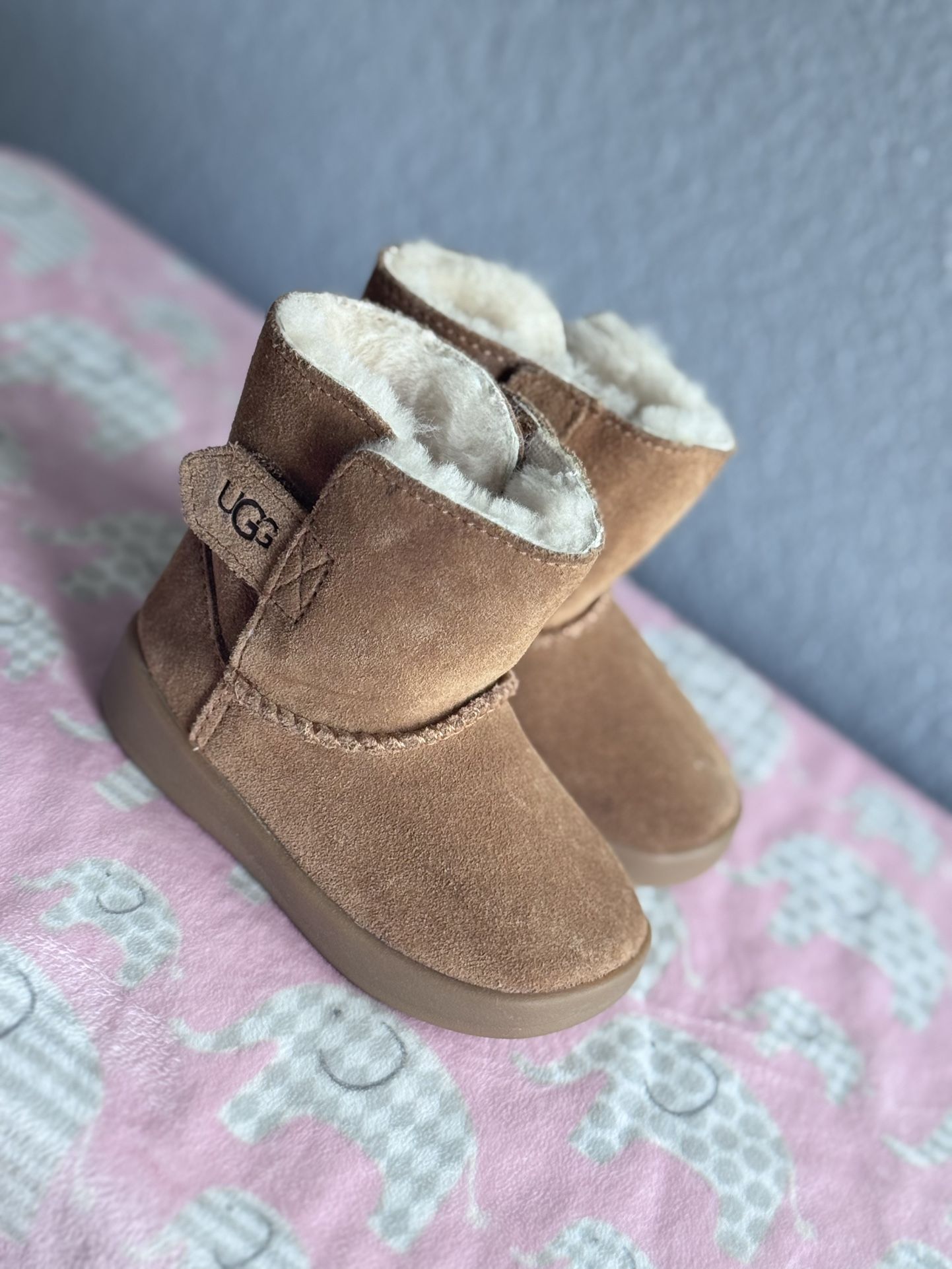 Toddler Uggs