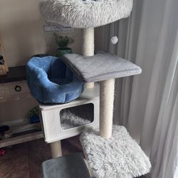 Cat  House And Bed