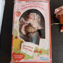 Vintage Strawberry Shortcake Doll in Box,W Comb(No.43020)